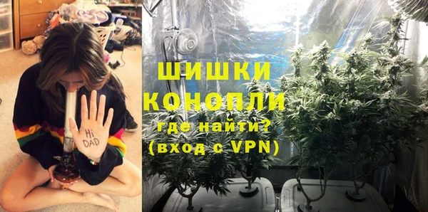 PSILOCYBIN Балахна