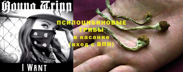 меф Пересвет