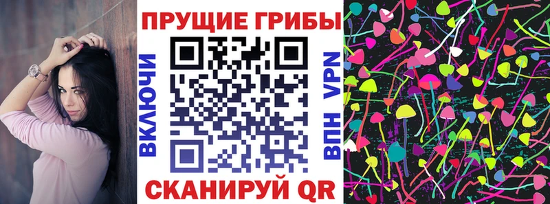Галлюциногенные грибы Cubensis где купить Сычёвка