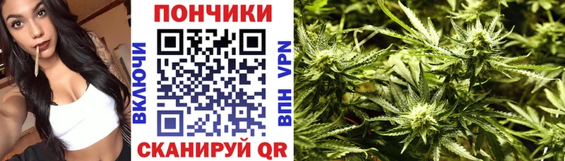 Канабис индика  Сычёвка 
